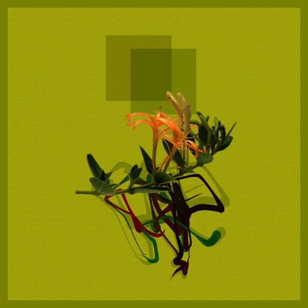 MONOMONO Icon cover