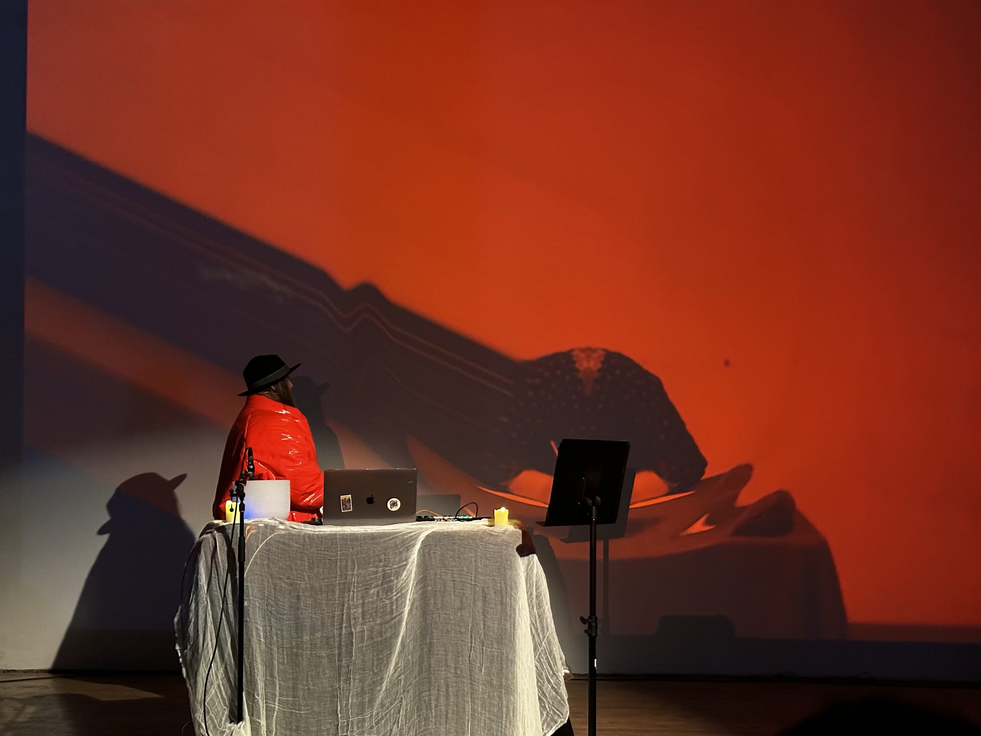 Eda Er performing live — laptop and electronics under a large red projection